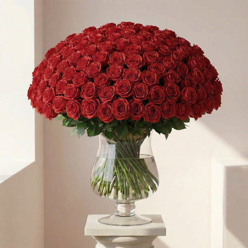 Crimson Light (75 Roses)